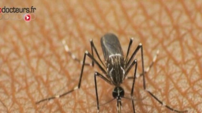Paludisme : le vaccin expérimental protège finalement peu