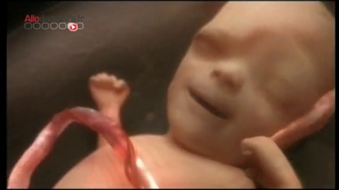 PMA : trois parents pour un enfant ? - Reportage diffusé le 2 juillet 2013
