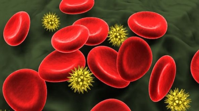 VIH et drépanocytose : 200 millions de dollars pour des thérapies géniques aux Etats-Unis