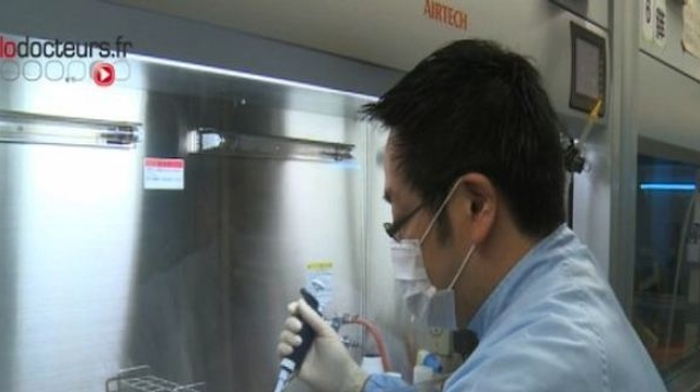 Japon : feu vert pour premiers essais sur l'homme avec cellules souches iPS