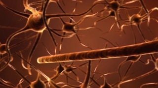 Alzheimer : Quelles causes ? Quels facteurs de risque ?
