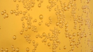 Belgique : de la bière et de l'engrais à partir de nos urines