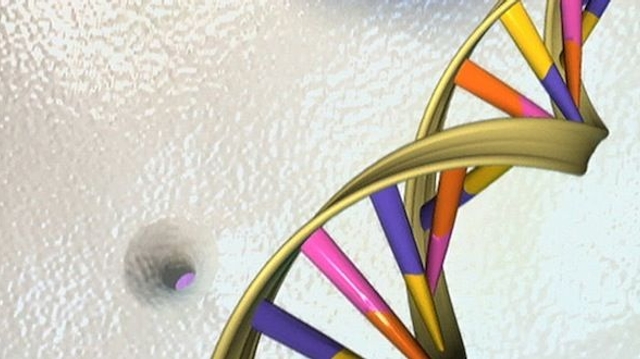 Dysfonction érectile : et si c'était génétique ?