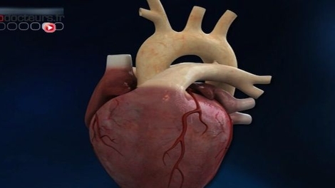 Reconnaître l'arrêt cardiaque pour sauver des vies