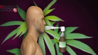 Le Sativex®, un médicament dérivé du cannabis, disponible en 2015