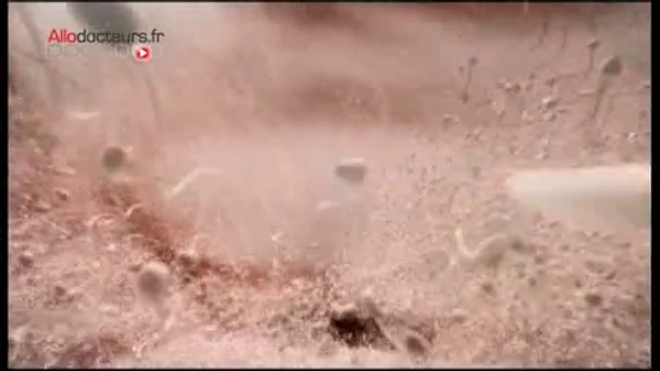 Reportage réalisé en 2013, à l'occasion des 40 ans des CECOS.