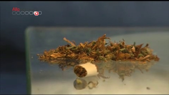 Le cannabis thérapeutique autorisé pour un patient - Reportage du 20 novembre 2013