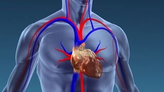 1967 : La première transplantation cardiaque
