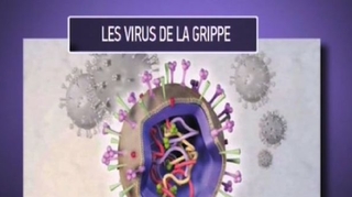 Grippe : en marche vers l'épidémie ?