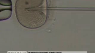Embryons sous vidéo-surveillance pour optimiser les chances de fécondation in vitro