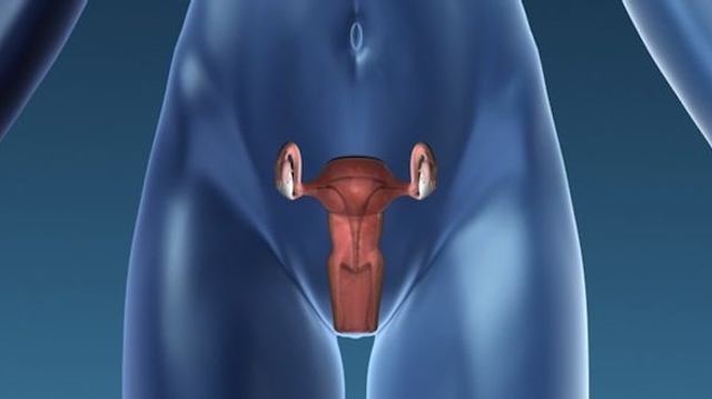 Cancer du col de l'utérus : nouveau test pour un dépistage plus précoce
