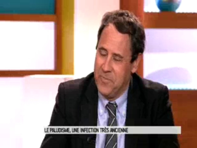 Vidéo : ''Le paludisme, une infection très ancienne'', la chronique du Dr Bruno Halioua, du 4 mars 2014