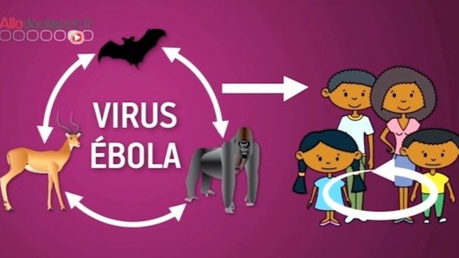 Fièvre Ebola : l'épidémie prend de l'ampleur en Guinée