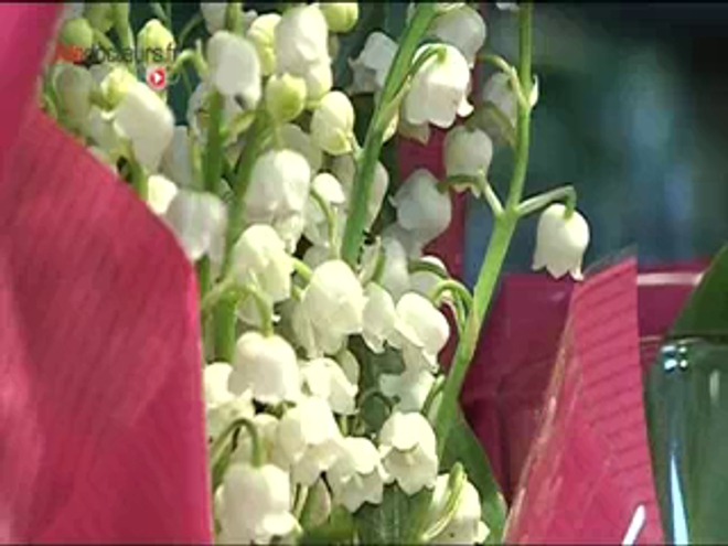Les botanistes le connaissent sous le nom savant de ''Convallaria majalis''. Les Anglo-saxons l'affublent de celui, charmant, de ''lys des vallées''.