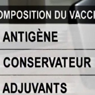 Grippe A : des vaccins qui font débat