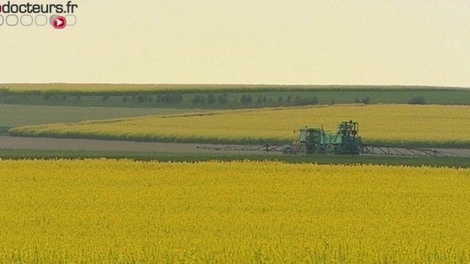 Ségolène Royal prévoit d'interdire l'épandage aérien de pesticides
