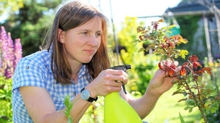 Pesti'home : première étude nationale sur l'exposition aux pesticides ménagers