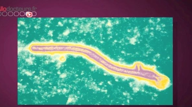 Ebola : l'épidémie s'intensifie en Afrique de l'Ouest