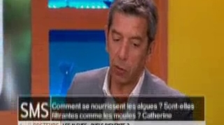 Comment se nourrissent les algues ?
