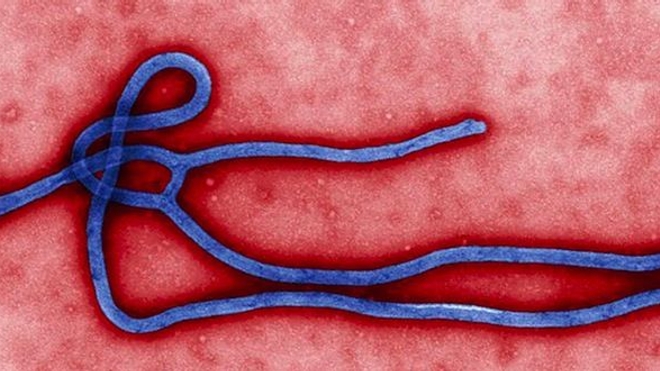 Le virus Ebola en cinq questions