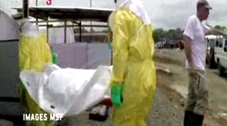 Ebola : l'Institut Pasteur se mobilise