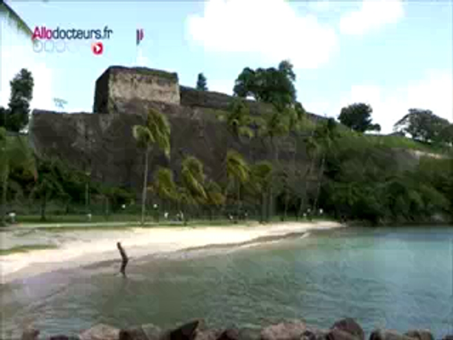 Les Antilles confrontées au chikungunya
