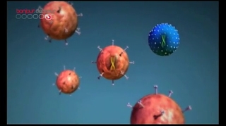 Grippe A : que signifie la mutation du virus ?