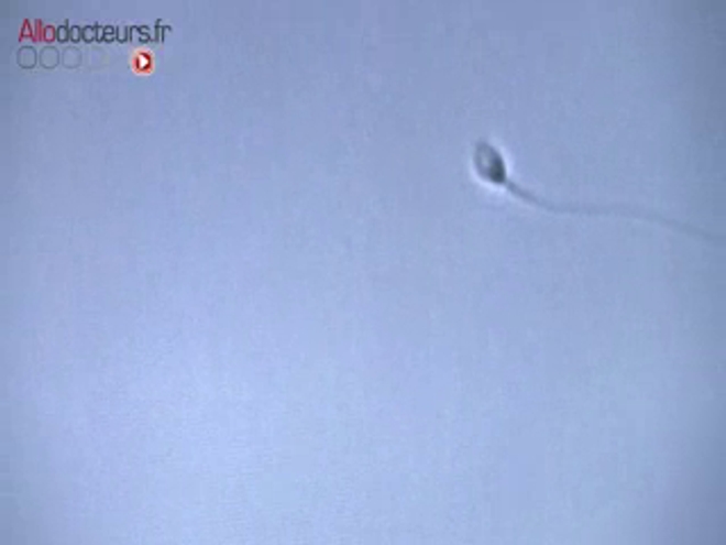 ''Fécondation in vitro : plus de réussite grâce à la 3D'', reportage diffusé le 12 novembre 2014