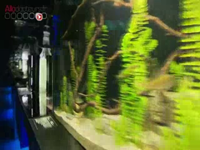 Si des expositions permanentes sur les microbes sont déjà proposées par de nombreux musées des sciences de par le monde, Micropia revendique son statut de zoo à part entière.