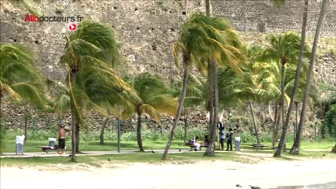 Les Antilles déclarent la guerre aux moustiques.