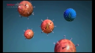 Grippe A : mutation d’un virus