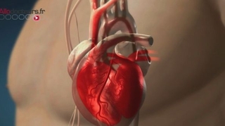 Un plan de lutte contre les maladies cardiovasculaires pour sauver des vies