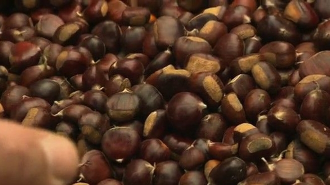 Bien cuisiner les fruits et les légumes d'hiver