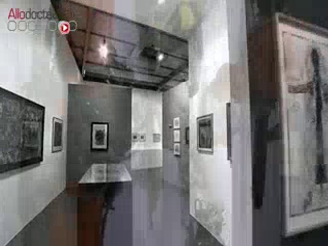 Visite d'une exposition d'art brut à la Maison Rouge à Paris.
