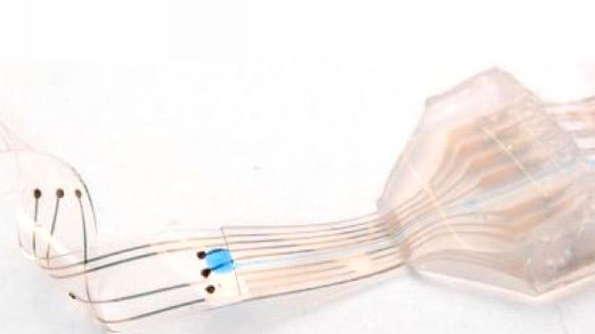 L'implant neuronal développé par les chercheurs suisse. (Crédits : EPFL)