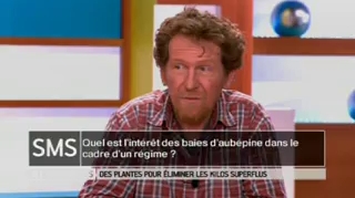 Comment masquer le mauvais goût de certaines plantes amincissantes ?