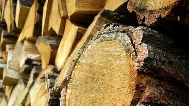 Les poussières de bois sont responsables de 80% des cancers ethmoïdes (Image d'illustration)