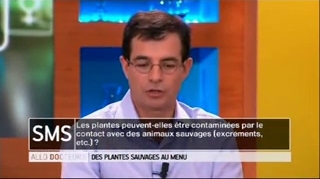 Les plantes sauvages peuvent-elles être contaminées par les animaux ?