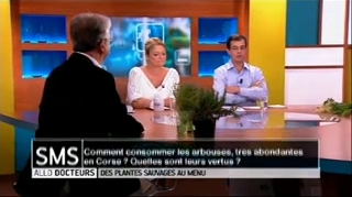 Les plantes sauvages sont-elles sensibles à la pollution ?