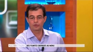 Peut-on confondre des plantes toxiques avec des plantes comestibles ?