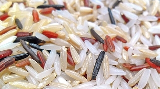 Une nouvelle méthode pour cuire le riz et éliminer les résidus d'arsenic