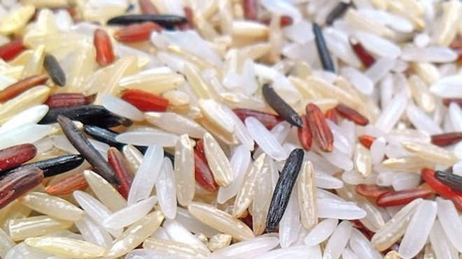 L'arsenic présent dans l'eau des rizières se retrouve dans les grains de riz, aliment de base de milliards de personnes dans le monde. Crédit : CC BY-SA Earth100