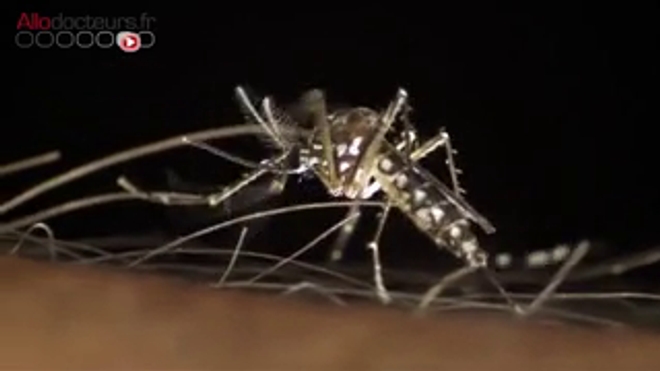 Le vaccin contre la dengue de Sanofi Pasteur - Reportage du 28 septembre 2015