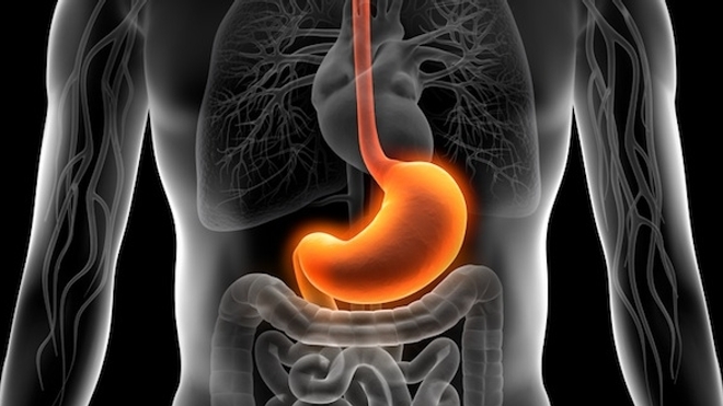 L'acidité aurait pour rôle de créer une sorte de "barrage filtrant" qui empêche l’entrée des pathogènes dans l'intestin (Image : psdesign1 - Fotolia.com)