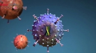 Vaccin universel contre la grippe : la recherche avance