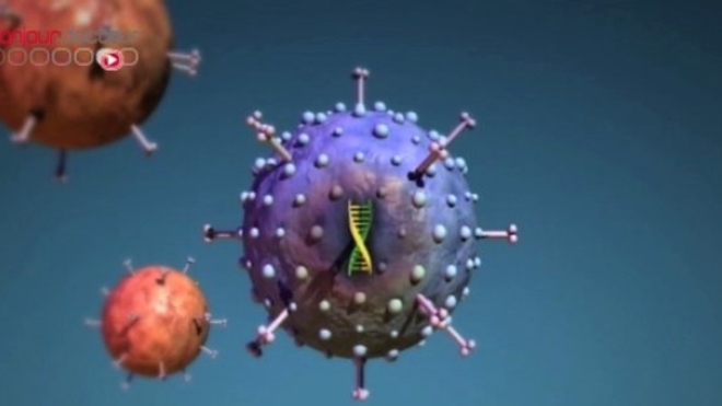 Les chercheurs ont ciblé un protéine particulière du virus : l'hémagglutinine. La structure de sa tige varie peu d'une année sur l'autre.