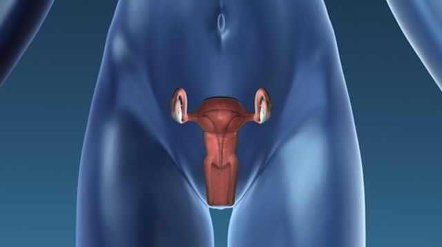 Dépister le cancer du col de l’utérus grâce à un algorithme