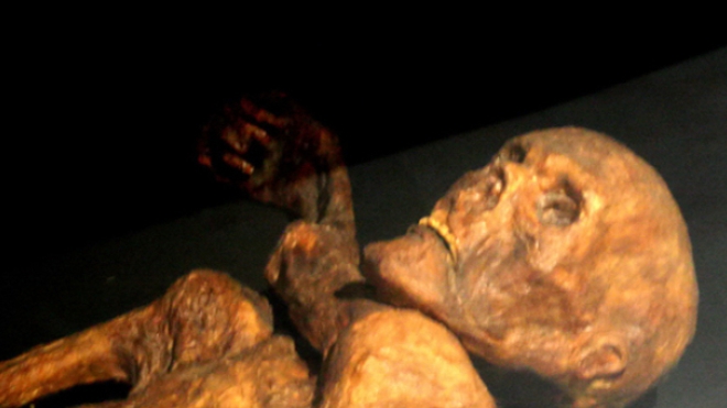 La momie Ötzi au musée de la Préhistoire de Quinson, Alpes de Hautes Provences. (cc-by-sa 120)
