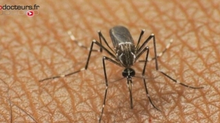 Paludisme : mort suspecte d'une enfant en Italie