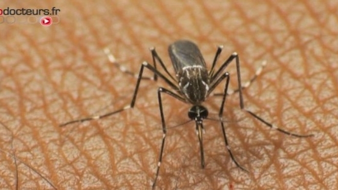 Paludisme : premier de cas de résistance au traitement en Afrique